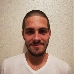 Guilherme Afonso de Almeida Madeira Lopes